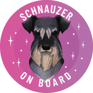 Magnes - sznaucer ⌀ 10 cm