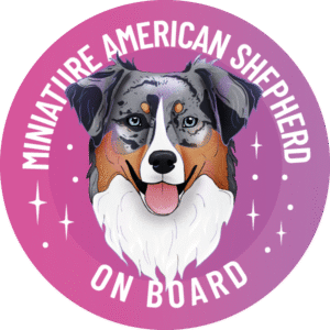 Naklejka - miniaturowy owczarek amerykański ⌀ 10 cm