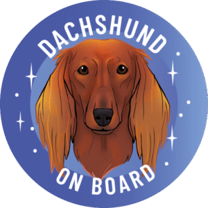 Magnes - Jamnik długowłosy ⌀ 10 cm