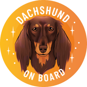 Naklejka - Jamnik długowłosy ⌀ 10 cm