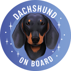 Naklejka - Jamnik krótkowłosy ⌀ 10 cm