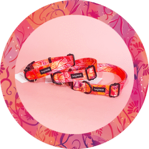 Obroża - Kwiatowy Sen FurryFriends