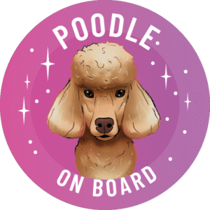 Magnes - pudel ogolony ⌀ 10 cm