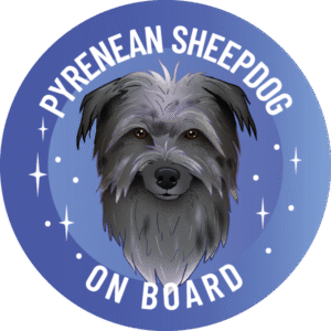 Magnes - owczarek pirenejski ⌀ 10 cm