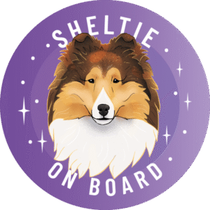 Magnes - owczarek szetlandzki sheltie typ amerykański ⌀ 10 cm