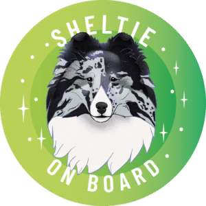 Naklejka - owczarek szetlandzki sheltie typ amerykański ⌀ 10 cm