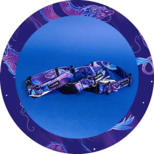 Obroża - Smoki FurryFriends