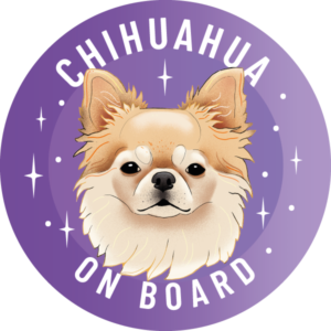 Magnes - chihuahua długowłosa ⌀ 10 cm