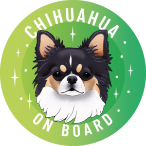 Naklejka - chihuahua długowłosa ⌀ 10 cm