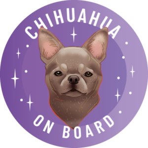 Naklejka - chihuahua krótkowłosa ⌀ 10 cm