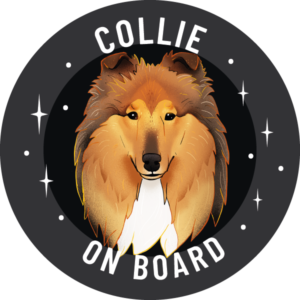 Magnes - owczarek szkocki collie ⌀ 10 cm