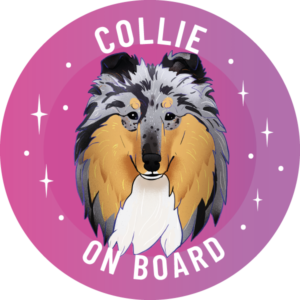 Naklejka - owczarek szkocki collie ⌀ 10 cm