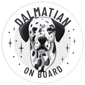 Magnes - dalmatyńczyk ⌀ 10 cm