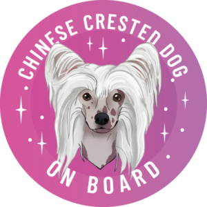 Magnes - chiński grzywacz ⌀ 10 cm