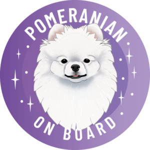 Naklejka - szpic miniaturowy pomeranian ⌀ 10 cm