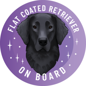 Magnes - flat coated retriever ⌀ 10 cm