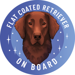 Naklejka - flat coated retriever ⌀ 10 cm