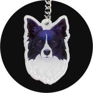 Brelok akrylowy - border collie