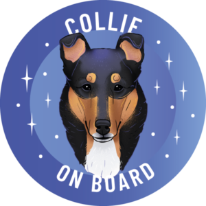 Magnes - owczarek szkocki collie krótkowłosy ⌀ 10 cm