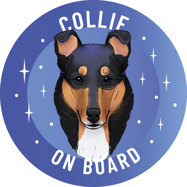 Magnes - owczarek szkocki collie krótkowłosy ⌀ 10 cm 1 Magnes - owczarek szkocki collie krótkowłosy ⌀ 10 cm