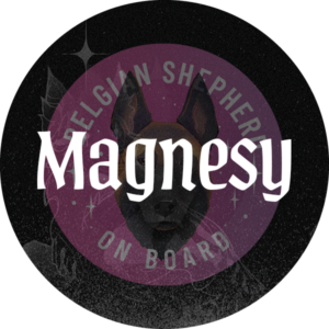 Magnesy