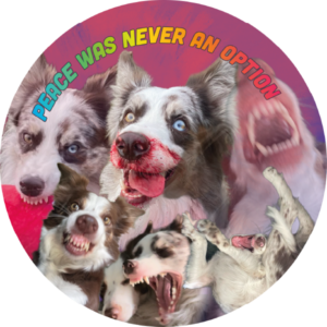 Magnes - border collie peace was never an option ⌀ 10 cm