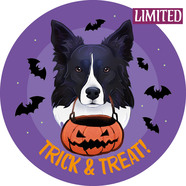 Magnes - halloween border collie ⌀ 10 cm 1 Magnes - halloween border collie ⌀ 10 cm