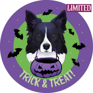 Magnes - halloween border collie ⌀ 10 cm