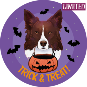 Magnes - halloween border collie ⌀ 10 cm