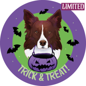 Magnes - halloween border collie ⌀ 10 cm