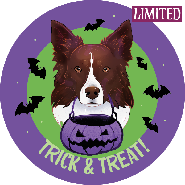 Magnes - halloween border collie ⌀ 10 cm 1 Magnes - halloween border collie ⌀ 10 cm