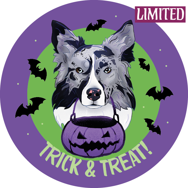 Magnes - halloween border collie ⌀ 10 cm 1 Magnes - halloween border collie ⌀ 10 cm