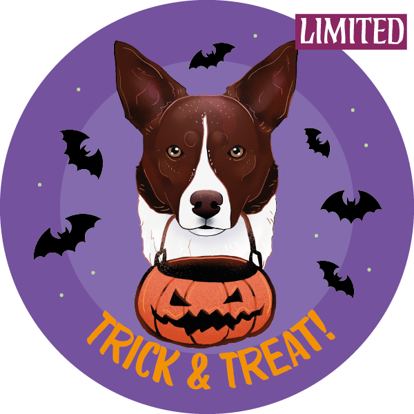 Magnes - halloween border collie ⌀ 10 cm 1 Magnes - halloween border collie ⌀ 10 cm